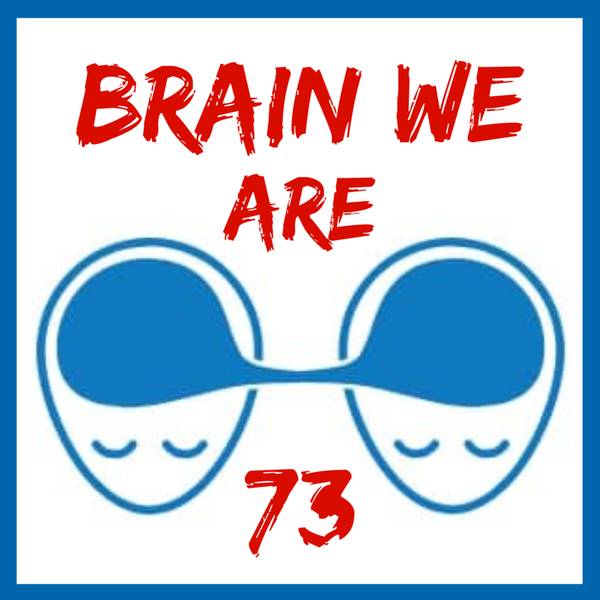 Brain We Are CZ
